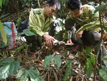 Bảo tồn tính đa dạng sinh học tại Khu bảo tồn Pù Hu